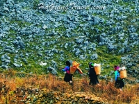 Excursion au Hau Plateau des pierres Ha Giang en 4 x 4